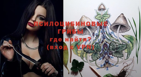 прущий лед Абаза