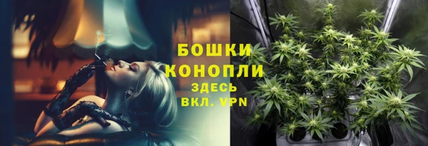 прущий лед Абаза