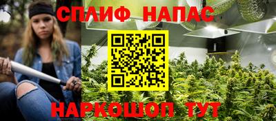 jwh Гусев