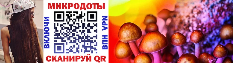 Галлюциногенные грибы Psilocybe  купить закладку  Красный Сулин 