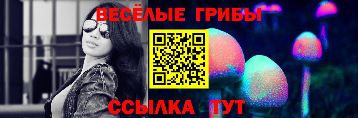 Галлюциногенные грибы Psilocybe  Вход с VPN  Псилоцибиновые грибы Psilocybe  Красный Сулин 